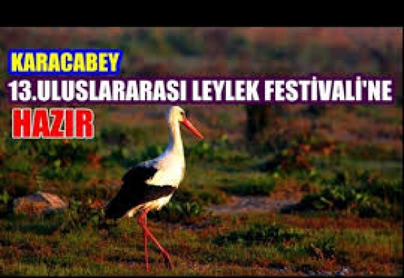 Karacabey'de “Leylek Festivali“ hazırlığı