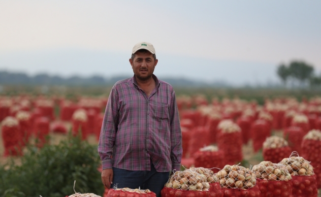 “Kuru soğan fiyatları önümüzdeki hafta düşüşe geçecek“