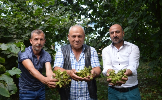 Sakarya'daki dolu yağışı