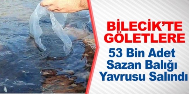 Bilecik'te göletlere 53 bin sazan yavrusu bırakıldı