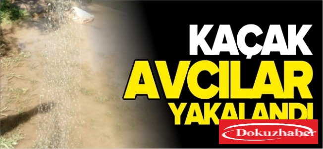 Kaçak avcılar yakalandı