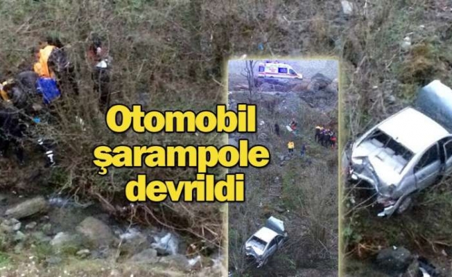 Otomobil şarampole devrildi: 1 yaralı