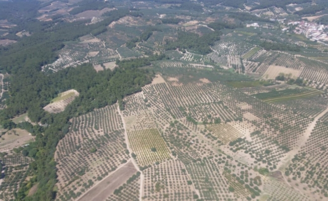 Bursa'da jandarmadan uyuşturucu denetimi