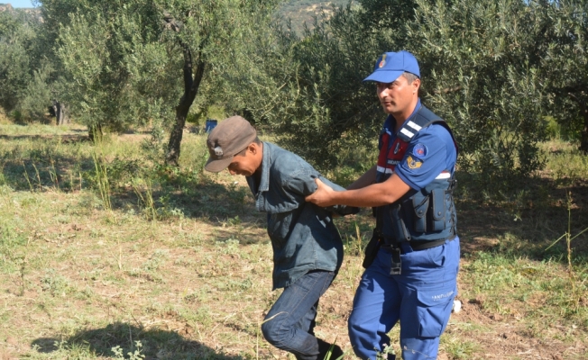 Çanakkale'de 64 düzensiz göçmen yakalandı