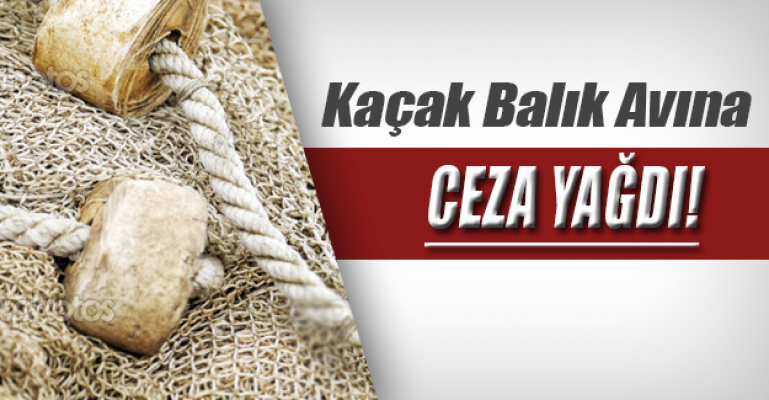 Kaçak balık avına ceza