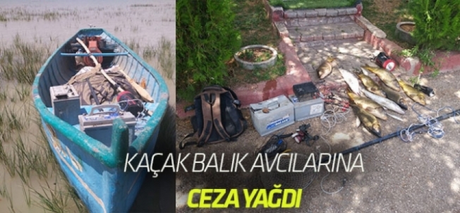 Kaçak balık avına ceza