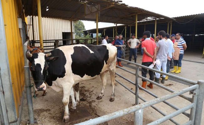 Kocaeli Büyükşehir Belediyesi'nden kurban kesim kursu