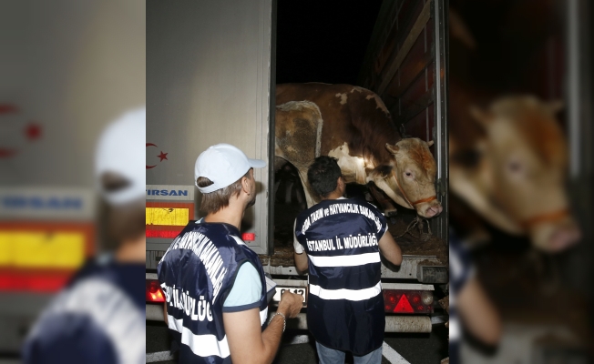 Kurban Bayramı'na doğru