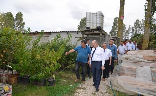 Tekirdağ'dan kısa kısa