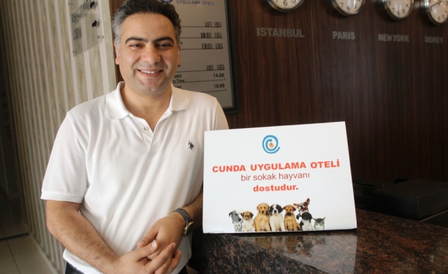 Uygulama oteli sokak hayvanlarına kucak açıyor