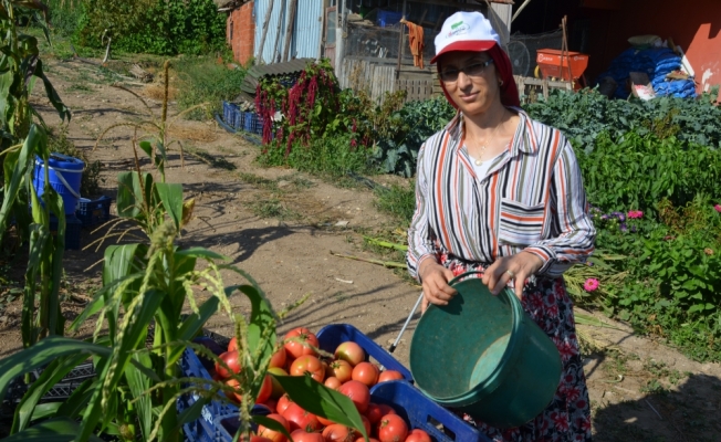 Evinde anne, tarlada çiftçi, iş yerinde patron