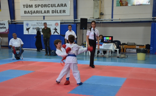 Karate Trakya Ligi, Biga'da final yaptı