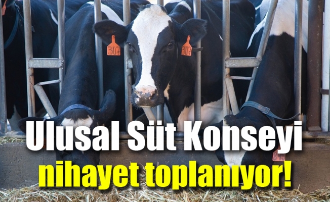 “Ulusal Süt Konseyi süt fiyatını revize etmeli“