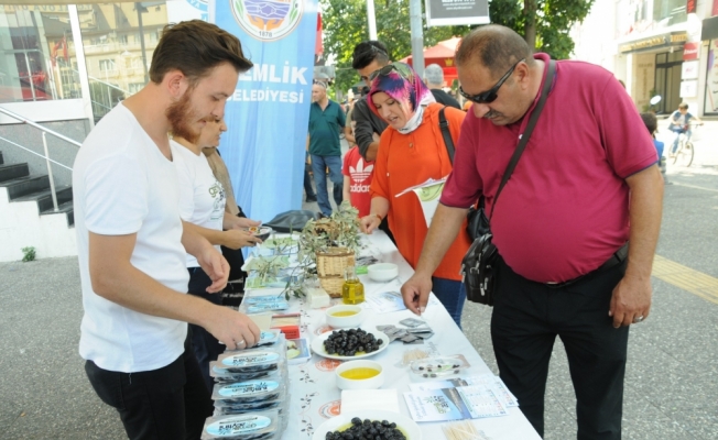 Zeytinle festivale davet yapıldı