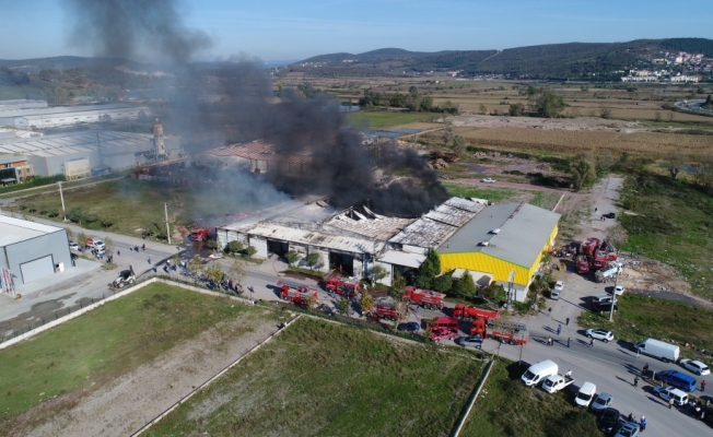 Sakarya'da fabrika yangını