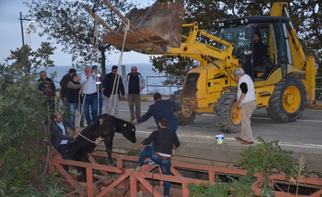 Mahsur kalan dana kurtarıldıktan sonra kesildi