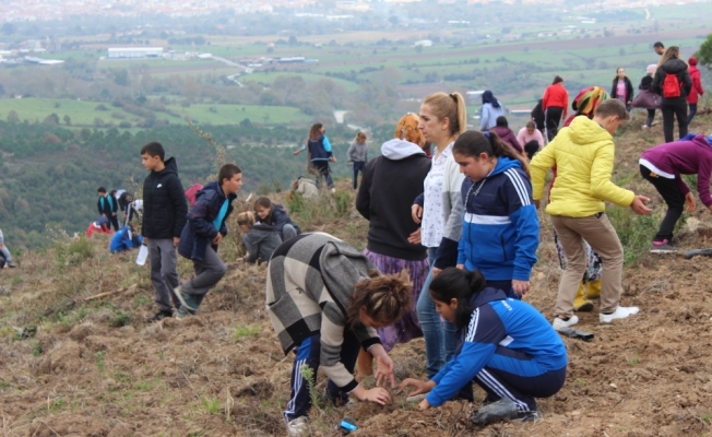 Bigalı öğrenciler fidan dikti