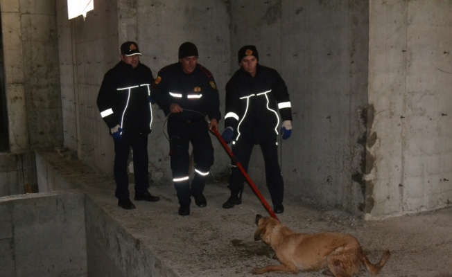 İnşaat boşluğuna düşen köpek kurtarıldı