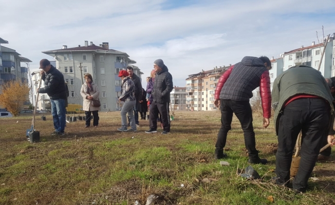 Edirne'de kent bahçeciliği çalışmaları