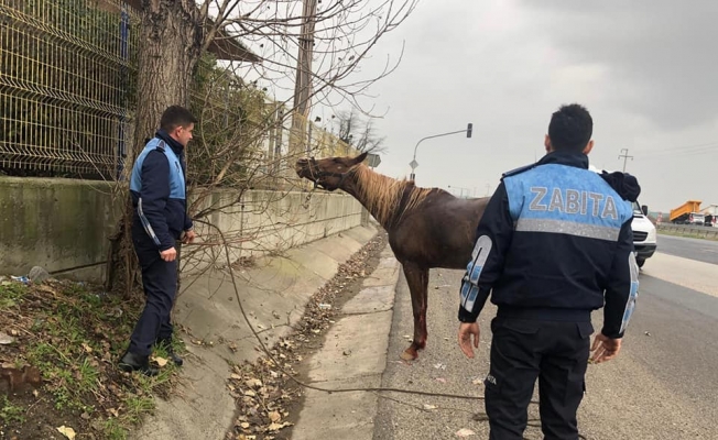 Ergene'den kısa kısa