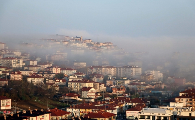 Sakarya'da yoğun sis