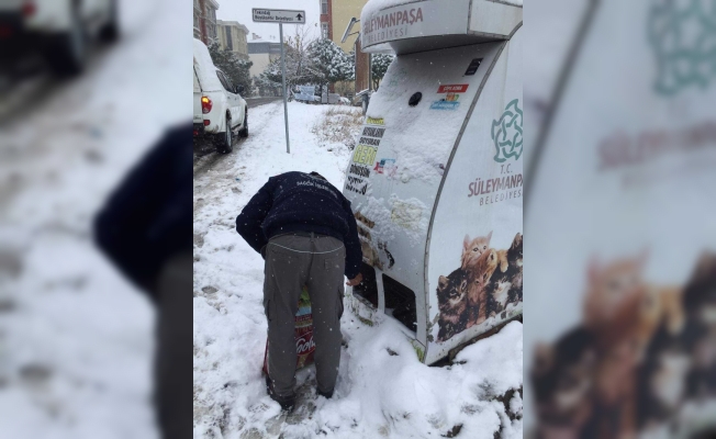 Sokak hayvanları için yiyecek bırakıldı