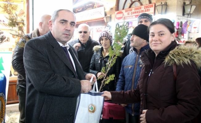 Yılbaşı öncesi tarihi çarşıda vatandaşlara fidan dağıtıldı