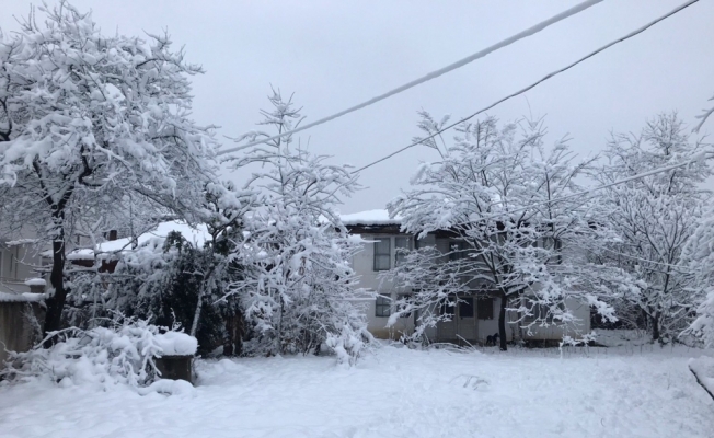 Sakarya'da kar yağışı