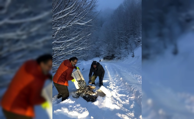 Yaban hayvanları için ormanlık alana yiyecek bıraktılar