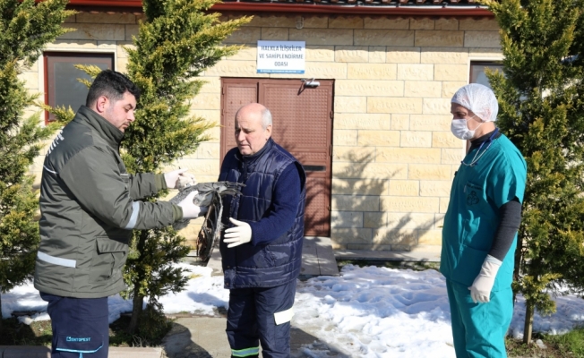 Yaralı balıkçıl kuşunun yardımına ilaçlama ekibi koştu