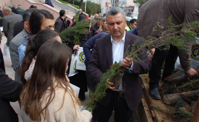 Dünya Ormancılık Günü