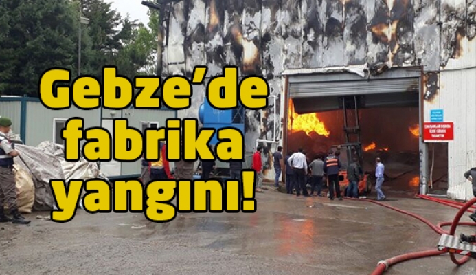 Gebze'de fabrika yangını