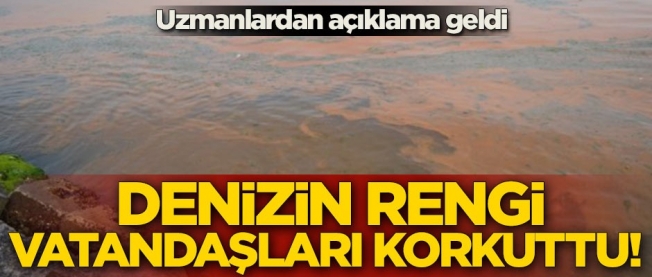 Ayvalık sahilinde denizin rengi değişti