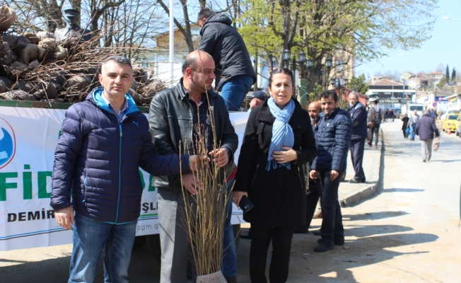 Demirköy'de 10 bin fidan dağıtıldı