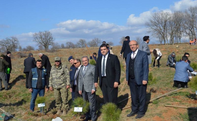 Şehit Cumhuriyet Savcısı Kiraz için Hatıra Ormanı