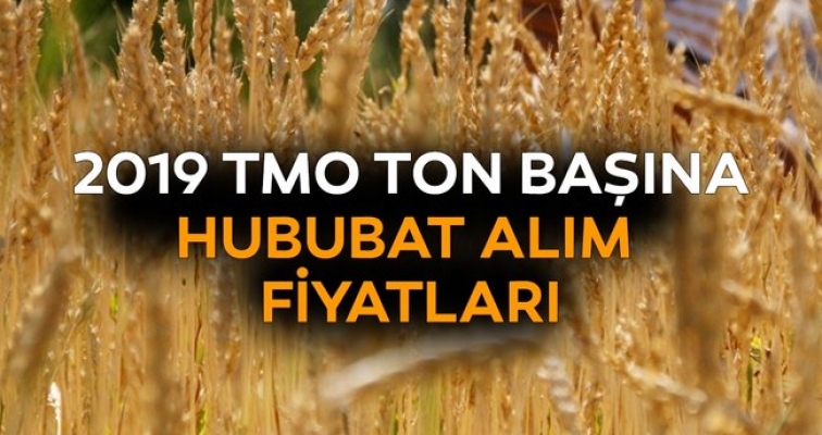 TMO'dan hububat alım açıklaması