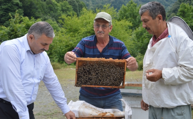 Arıcılar bal sezonuna hazırlanıyor