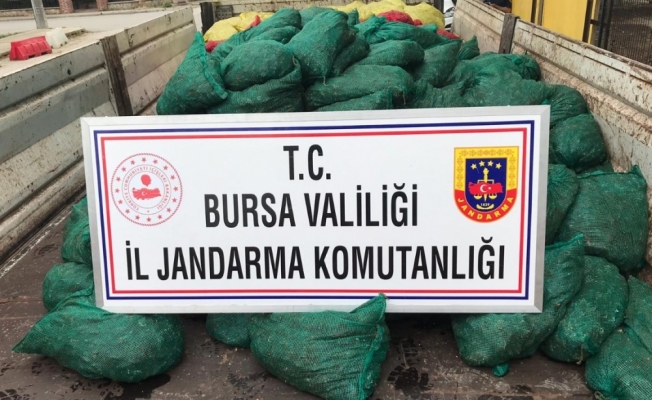 Bursa'da 9 ton midye ele geçirildi