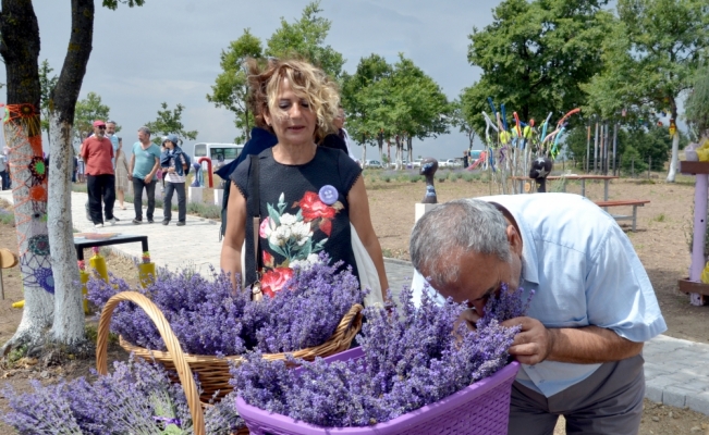 Karamürsel'de Orman Dede Lavanta Parkı açıldı