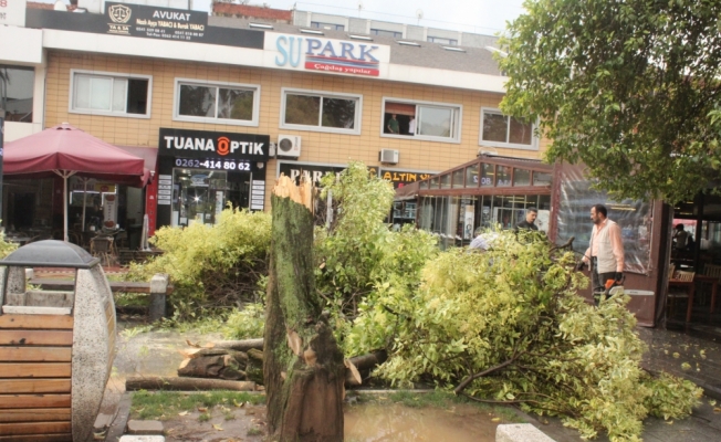 Kocaeli'de sağanak ve fırtına etkili oldu