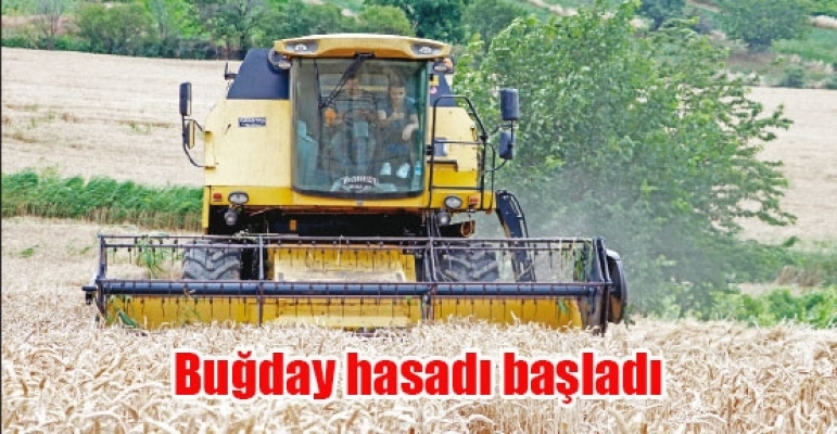 Trakya'da buğday hasadı başladı