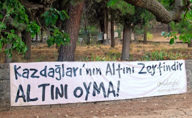 Kaz Dağları'ndaki altın arama çalışmaları