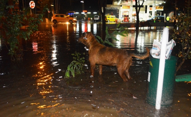 Ayvalık’ta sağanak ve fırtına