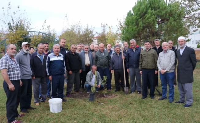 Diyanetten fidan dikme etkinliği