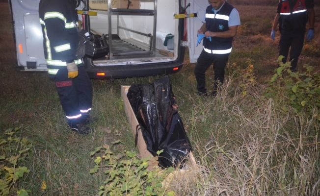 Tekirdağ'da derede ceset bulundu