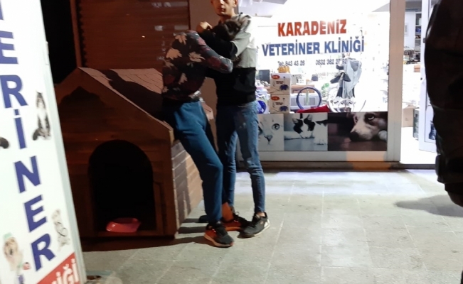 Kocaeli'de köpeği bıçakla öldürdüğü iddia edilen kişi gözaltına alındı