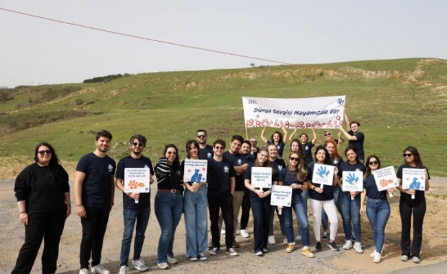 Anadolu Efes Gönüllüleri patili dostlar için harekete geçti