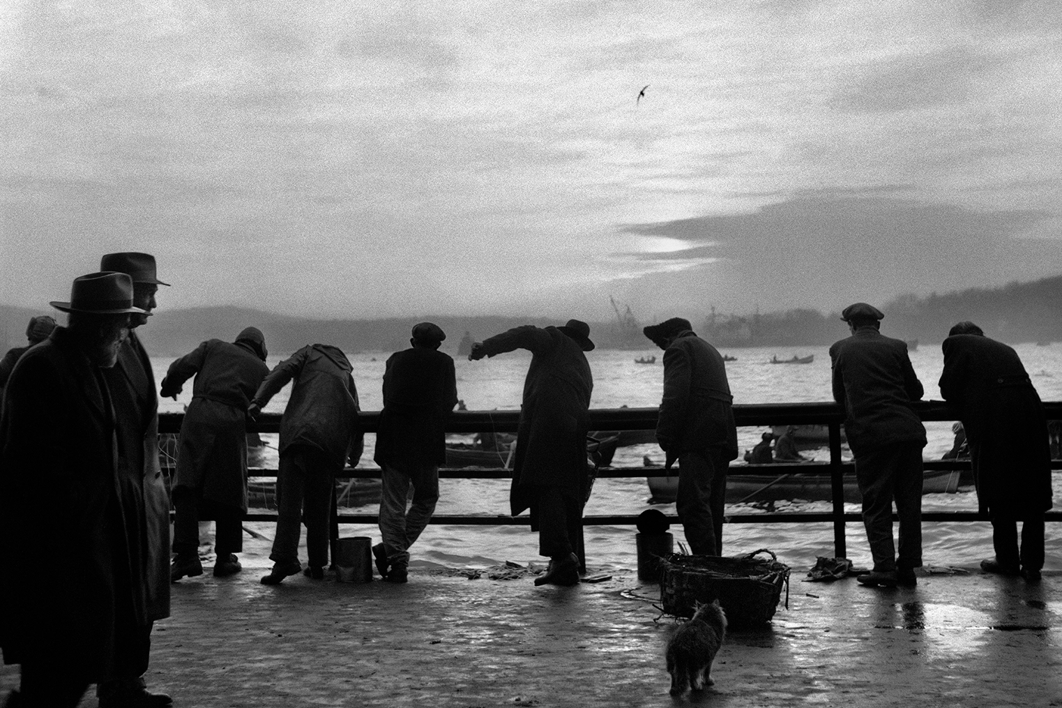 Ara Güler'in 'İstanbul Uyanıyor' kapılarını açtı