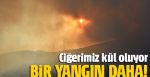 Makilik alanda yangın