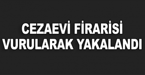 Firara kalkışan hükümlü bacağından vurularak yakalandı